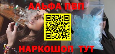 гашик Кингисепп