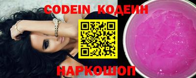 гашик Кингисепп