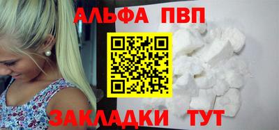 гашик Кингисепп