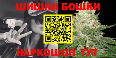 гашик Кингисепп