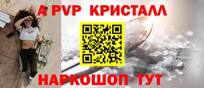 гашик Кингисепп