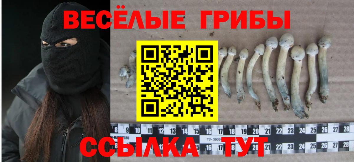 Псилоцибиновые грибы Magic Shrooms  Галлюциногенные грибы Cubensis  Усинск  Вход с VPN 